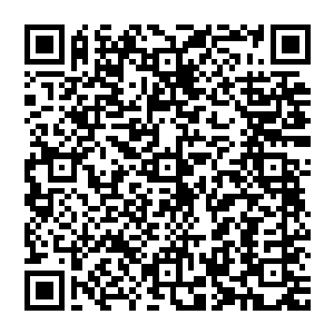 白爱月拿着陈观写的建设五龙峪教育基地可行性报告和陈观以五龙峪村两委名义起草的建设五龙峪教育基地报告二维码生成