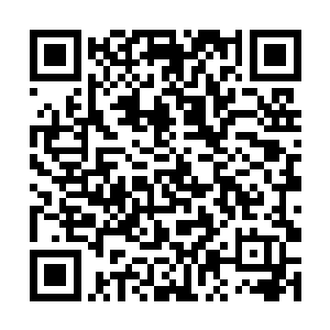 白牧天父子现在就寄希望于洛天星的身体赶紧好起来二维码生成