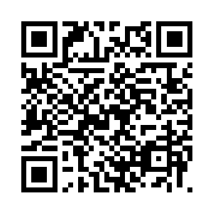 白牧天的秘书直接在宫门口亲迎他们二维码生成