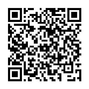 白狐说他可以幻化成人形陪在我身边也好多点照应二维码生成