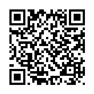 白猫猫拿着纸巾呆呆的看着柳逸尘二维码生成