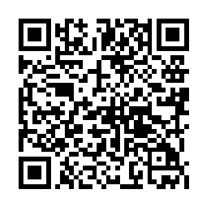 白猫猫本来是要等柳逸尘取走东西之后再离开的二维码生成