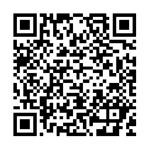 白玉石铺成的九曲桥弯弯曲曲的从她的不远处通向碧池的另一边二维码生成