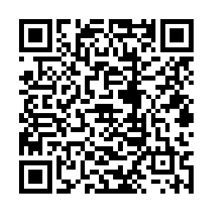 白瑾的目光落在被秦宇定在一旁的李一依的魂魄上二维码生成