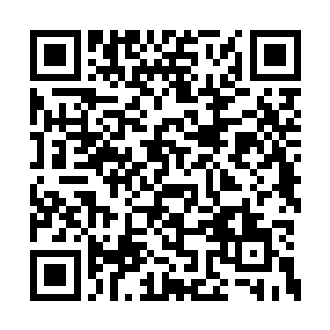 白皙双腮上的一抹红润让面颊仿佛吹弹得破一样二维码生成