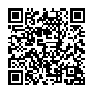 白皙如玉的脸庞上似乎也被衣服染上了淡淡的嫣红二维码生成