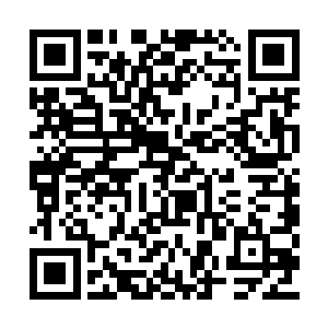 白皙娇嫩得玉颈已经明晃晃得放在了代离的身前二维码生成