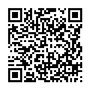 白眉可没想到身边的池佳一已经开始打他的主意了二维码生成