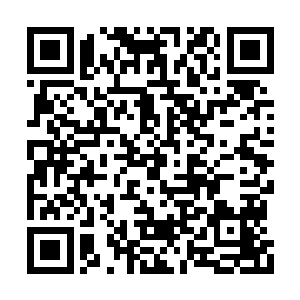白眉老魔和琴魔老祖暗中交换了一个苦涩的眼神二维码生成