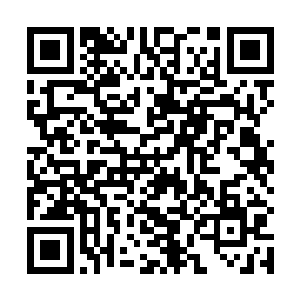 白破局此举无疑再一次把秦洛给推到了众人的眼球底下二维码生成