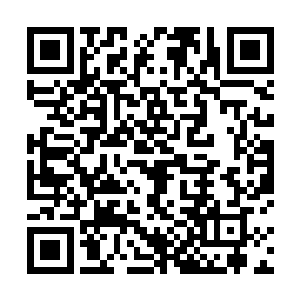 白硫亦却心满意足的将玉牌放在手心里端详了好一会儿二维码生成