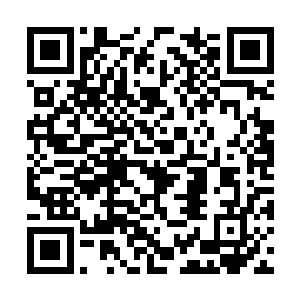 白硫亦盯着她明明闭着眼却还在微微颤动的眼皮子二维码生成