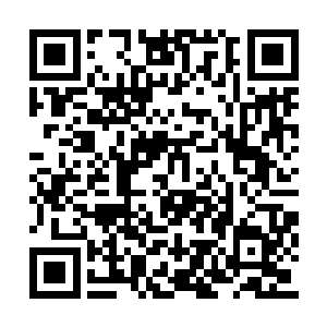 白礼站起来活动活动肩膀和身体让自己精神精神二维码生成