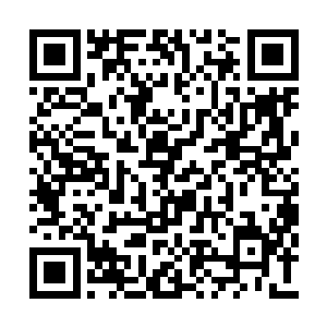 白素仙也有可能会遇到在那个时候令她怦然心动二维码生成