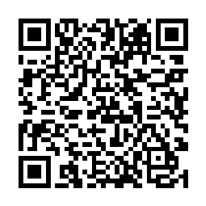 白素仙和捧山真人的话题基本上就都围绕着这个展开二维码生成