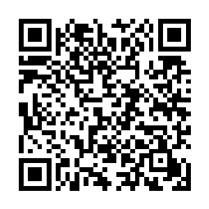 白素仙就主动的给张铁介绍了一下这块九龙玄关的历史二维码生成