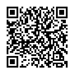 白素仙真的觉得哪怕和这个男人一辈子就这么在天上飘荡下去二维码生成