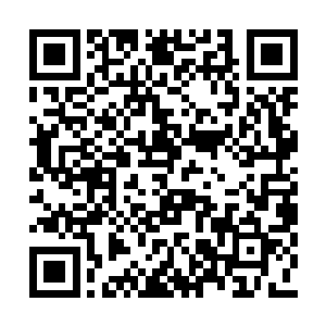 白素贞很快就回想起了若干年之前的一段小故事二维码生成