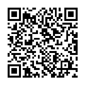 白羽门已然不是之前他们所熟知的那个即将没落的门派了二维码生成