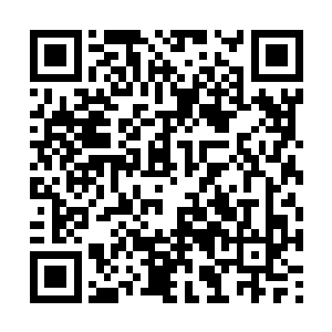 白羽门的弟子开始在外面寻找着厚土门这个小门派二维码生成