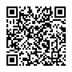 白老大……还有许许多多三大势力的高层搭乘穿梭舰二维码生成