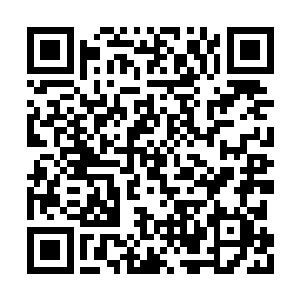 白老者目光一扫下方的尸将尸兵尸兽淡淡的开口二维码生成