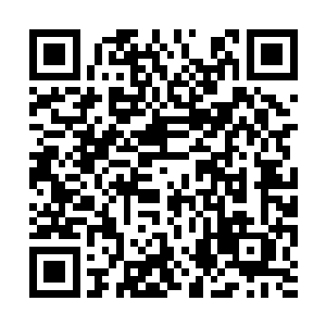 白胡子老爷爷却不知道苏落丫头正在打着这个主意二维码生成