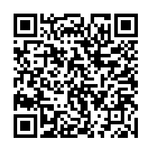 白色子弹的排兵布阵却暗含着舰队指挥学的玄奥至理二维码生成