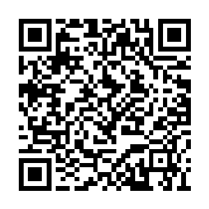 白色月牙看向陈诚的眼神又一次变得晶亮了起来二维码生成