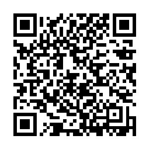 白色月牙还不忘回头挤出一张笑脸冲里面的陈诚挽留道二维码生成