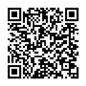 白芒以无奈的口吻跟李籽芯讲述了他身在其位的内忧外患二维码生成