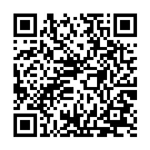 白芷璃不知道为什么自己看着大祭司的眼神那么的奇怪二维码生成