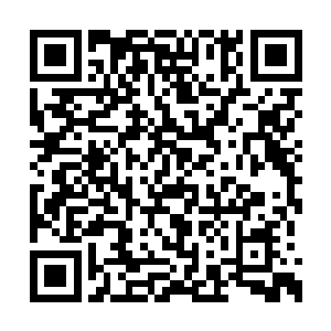 白芷璃不知道的是人家这个实在为了美男而奋斗二维码生成