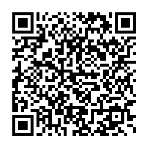 白芷璃不知道自己只是出现了这么一会会就有人开始对自己感兴趣了二维码生成