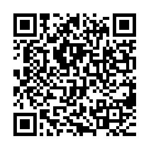 白芷璃回到家了之后便找到了正在书房里面处理事情的东黎墨二维码生成