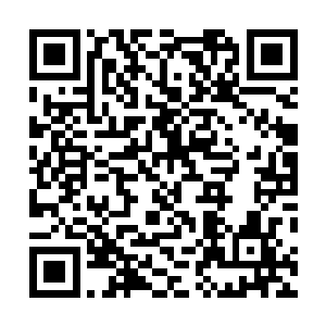 白芷璃完全就是在用自己全身的力气在克制自己的怒火了二维码生成