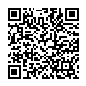 白芷璃怎么想都觉得被一枚蛋叫做娘亲是一个很诡异的事情二维码生成