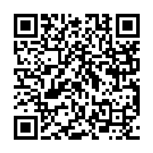 白芷璃的话对于鸢尾来说简直就是像针一样的刺在心里二维码生成