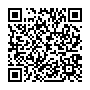 白芷璃觉得可以和阿墨坐在一起吃饭是个很不错享受二维码生成