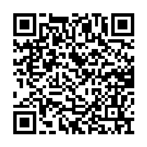 白芷璃还是不愿意相信这只单以后会变成一只鱼二维码生成