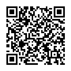 白芷璃这个废物这样做简直就是不给东黎国的面子二维码生成