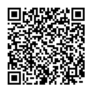 白若寒他们这些最的十位超级天才弟子相互之间都有着不用明言的规矩二维码生成