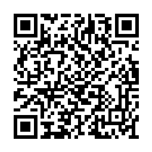 白虎嘴里叼着昏迷不醒的剑尘从大洞内走了出来二维码生成