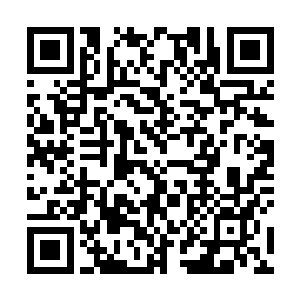白虎将军忍不住脑海里浮现出当年初遇这个丫头的情景二维码生成