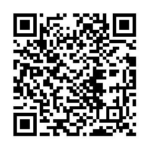 白虎精魄冰冷着声音说为主人效力本就是入体精魄的责任二维码生成