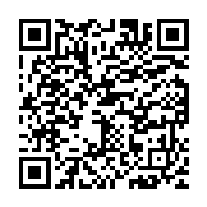 白虎精魄说依靠抢夺之法的确是能多得被我吸收的混沌之气力量二维码生成
