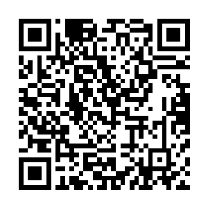 白蛇和女娲的身体都是孙子轩使用从女娲哪里学到的凝体术二维码生成