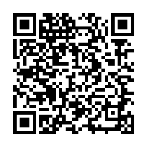 白衣人以黑棍配合法术加成一次次和虎妖王正面硬碰硬二维码生成