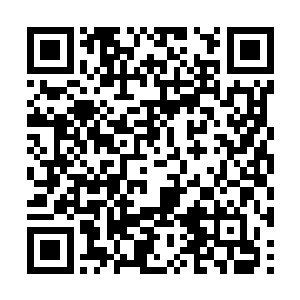 白衣大教主在刚开始被那凶猛的妖兽吓了一跳之后二维码生成