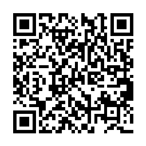 白衣少女也是有些惊讶的挑眉看着眼睛明亮的萌星二维码生成